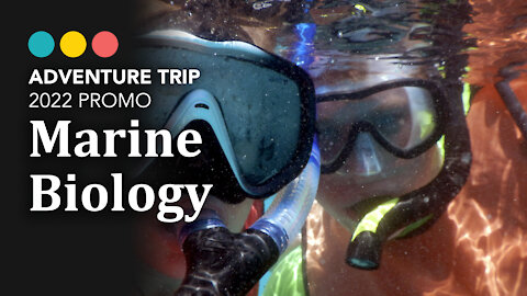 What to expect on the 2022 Marine Biology Trip with E4F!