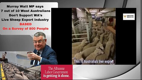 Labor government Murray Watt MP - DECIMATES WA Sheep Farmer's