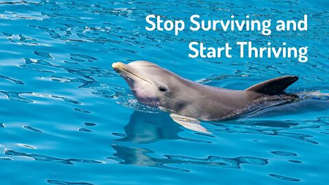Stop Surviving and Start Thriving (Reiki/Energy Healing/Frequency Healing)