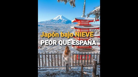 Nevada en JAPÓN deja al menos 8 muertos