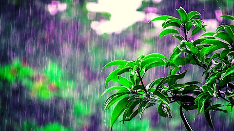 Beautiful Piano Music with Rain Sounds ,Relaxing Music ,sleep,meditation,music.