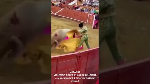 MATADOR VIOLENTLY GORED IN ASS IN BULLFIGHT #shorts #matador #bullfight #corrida #españa