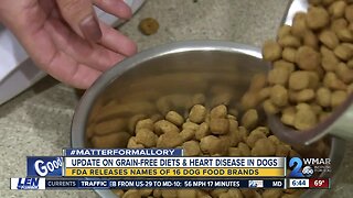 Dog with heart disease showing improvements after switching from grain-free diet