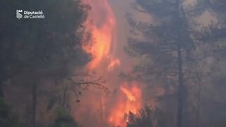 Incêndios florestais em Valência, Espanha, atingem nível alarmante