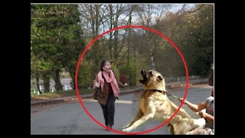 HOW TO DEFEND AGAINST A DOG ATTACK ➡➡➡ (Dog Training 101 On The Description))