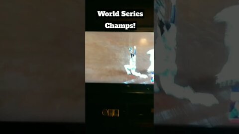 Atlanta Braves Win World Series yesss!!