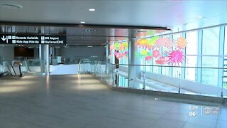 Eckerd College art professor leaves lasting impression at Tampa International Airport