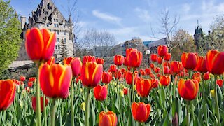 Canada’s 3-Month Forecast Just Dropped & It Could Be The Warmest Spring In Years