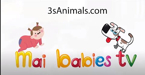 Babies laughing hysterically at the compilation of dogs