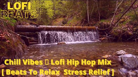 Chill Vibes 🍀 Lofi Hip Hop Mix Beats To Relax Stress Relieff