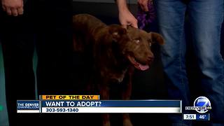 Pet of the day for September 23rd