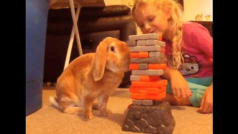 Bunny rabbit plays Jenga with little girl