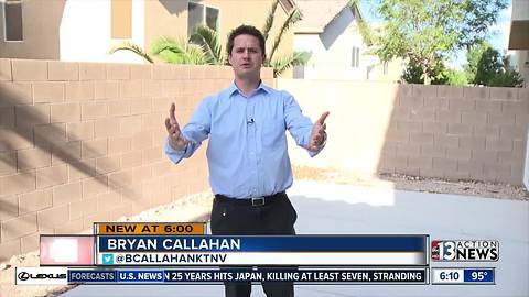 Lawmaker pushing for bigger backyards