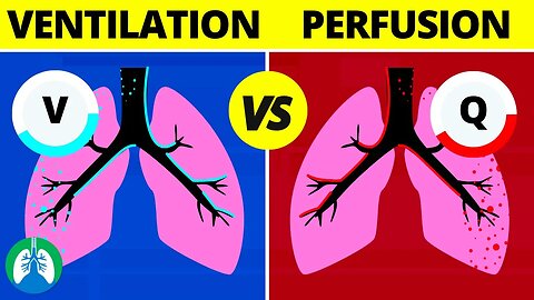 Ventilation-Perfusion (V/Q Ratio) | Quick Medical Overview