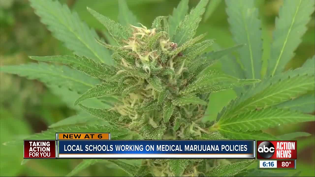 Florida schools are drafting medical marijuana policies