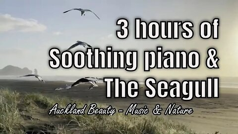 Soothing music with piano and seagull sound for 3 hours, relaxation music for stress relief