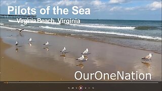 Pilots Of The Sea – Virginia Beach, Virginia – OurOneNation