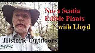 Nova Scotia edible plants