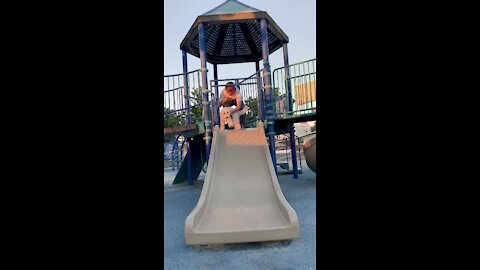 Dog's first ride down a slide is an adorable success