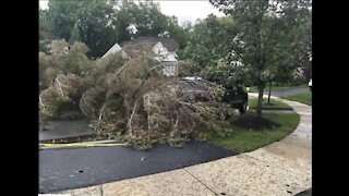 Storms cause damage across metro Detroit