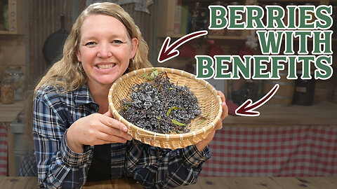 They Bought An Elderberry Business! (How Elderberries can help you Thrive)
