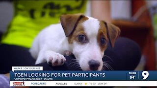 TGen to study the relationship between pets and COVID-19, looking for pet participants