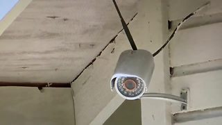 Seminole Heights families install security cams | Digital Short