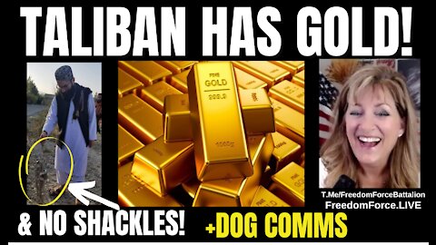 Taliban has Gold! Gesara! Feast of Trump! Dog Comms 9-2-21