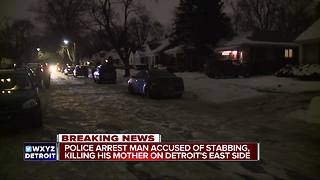 Deadly stabbing involving mother and son