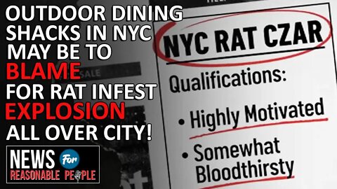 NYC posts ad for "Rat Czar" as the rodent population explodes post-covid