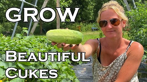 An Honest View of Growing Cucumbers