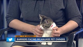 Ask the Expert: Barriers facing Milwaukee pet owners