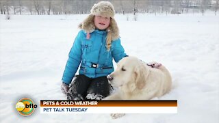 PET TALK TUESDAY - PETS AND THE COLD WEATHER