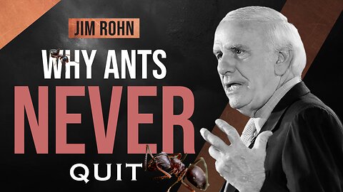 Why Ants Work Harder Than Humans - Jim Rohn [2023 Motivational Video]