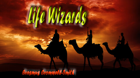 LIFE WIZARDS