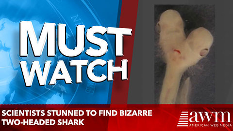 Scientists stunned to find bizarre two-headed shark