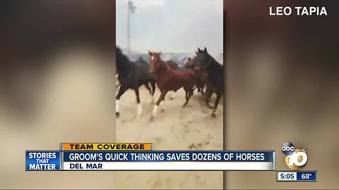 Groom's quick thinking saves dozens of horses