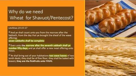 The BEST presentation ive seen yet on the Truth about PENTECOST