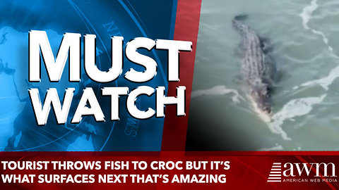 Tourist Throws Fish to Croc But It’s What Surfaces Next That’s amazing