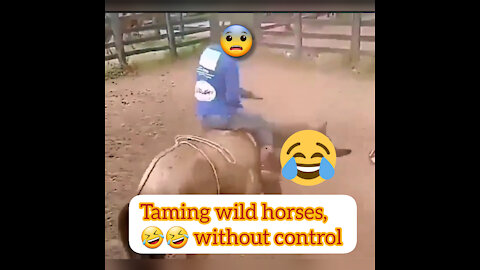 Taming the horse, without control 😂😂