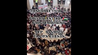 Insurrection Part II & more R.I.N.O.s NEED to GO
