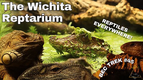 Look At All These Reptiles! | The Wichita Reptarium | BEC TREK Episode 45