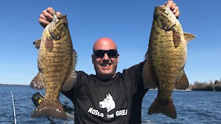 Sackets Harbor Smallmouth bass (Wisdom)