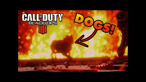 DOGS Scorestreak Returning to Black Ops 4!