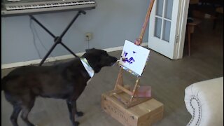 Painting dog raises money for local animal shelters