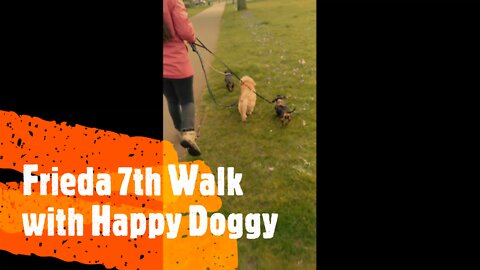 Frieda 7th Walk with Happy Doggy