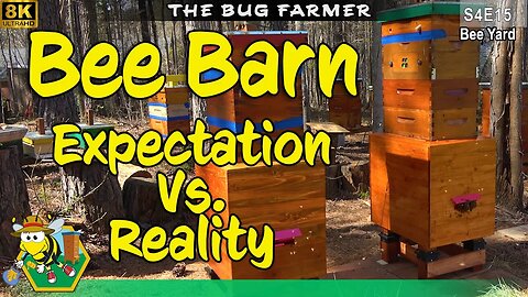 Bee Barn Expectation Vs. Reality | Green and Red Bee barn Inspection #8K #beekeeping #bees #prepping