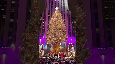 The 2023 Rockefeller Center Christmas Tree is officially lit 🎄