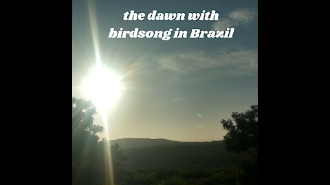 the dawn with birdsong here in Brazil