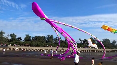 10 Kites You've Never Seen Before